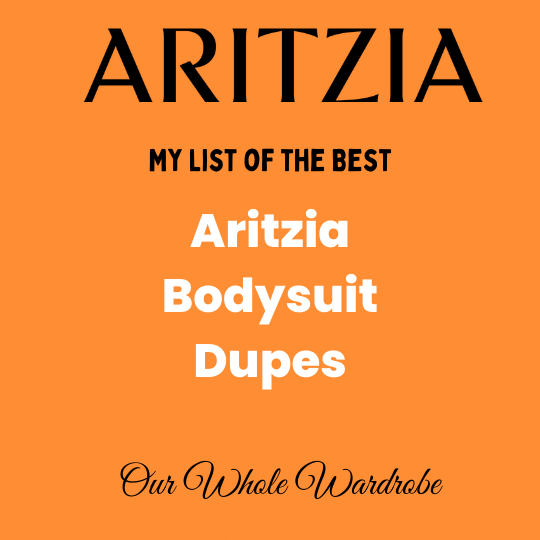 aritzia bodysuit dupe